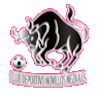 CD Novillos Neza CD Novillos Neza