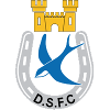 Dungannon Swifts Reserves