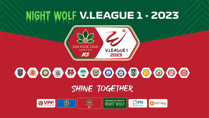 Giải đấu bóng đá vô địch quốc gia Việt Nam - V League
