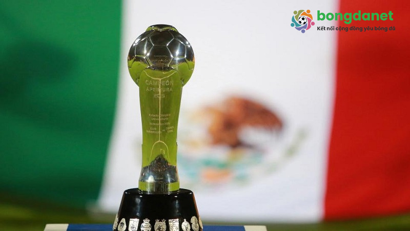 Soi kèo Mexico nhận được sự quan tâm của người hâm mộ bóng đá