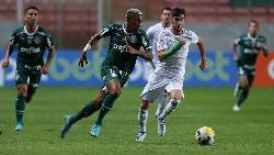 Nhận định, soi kèo Palmeiras vs America MG, 7h30 ngày 30/11 Nhận định, soi kèo Palmeiras vs America MG, 7h30 ngày 30/11